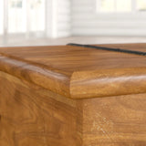 Balic Solid Wood Trunk Coffee Table with Storage
